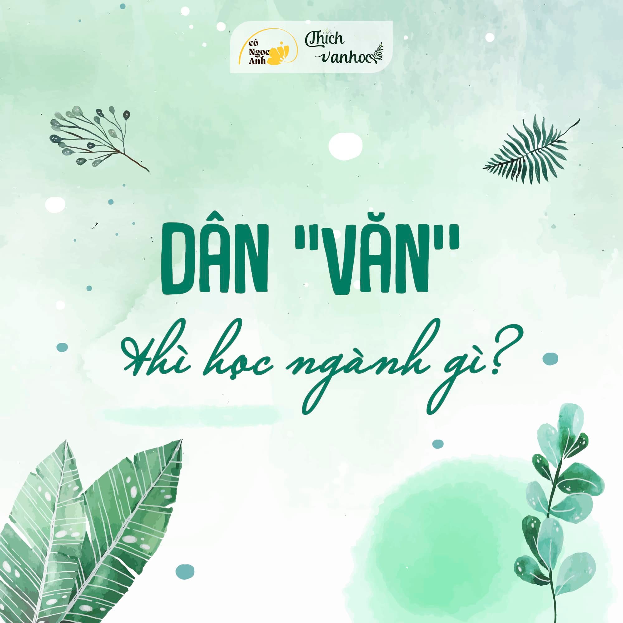 Dân Văn thì học ngành gì?