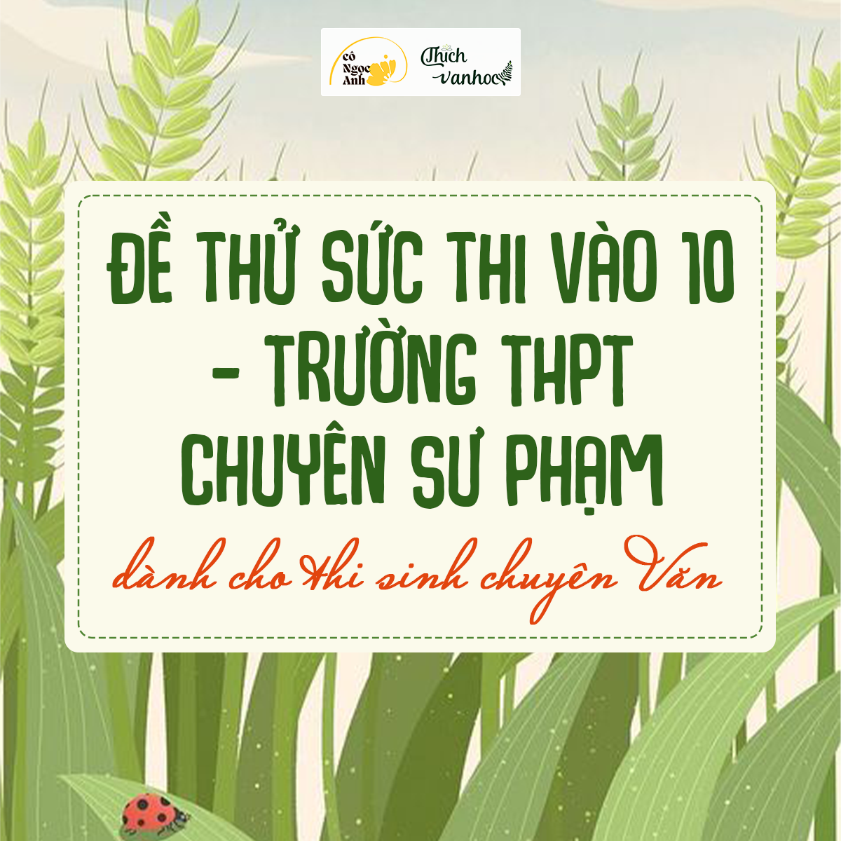 Đề thi thử vào 10 Chuyên Văn - Chuyên Sư phạm