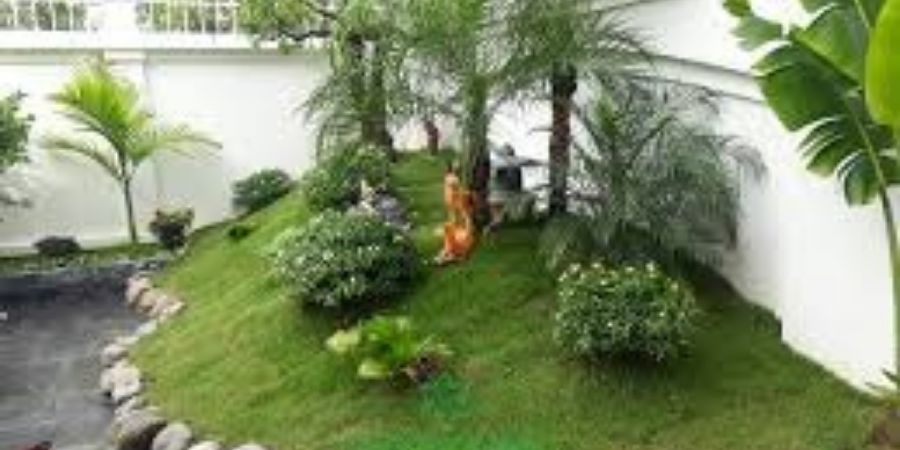 Xem chi tiết bố trí sân vườn tạo sinh khí cho ngôi nhà