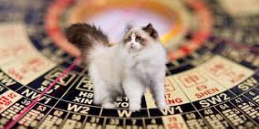 Xem chi tiết hướng ban công hợp tuổi Ất Mão 1975