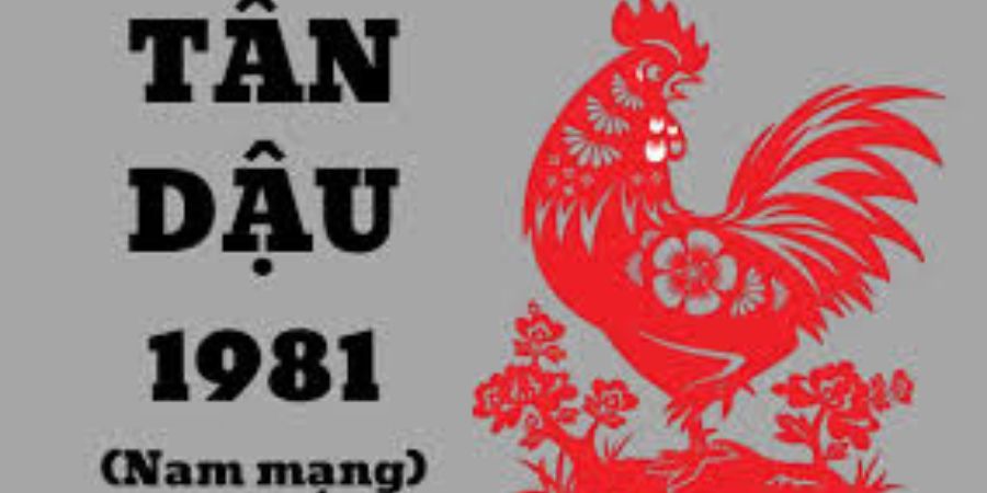 Hướng dẫn hướng tốt cho nam tuổi Tân Dậu