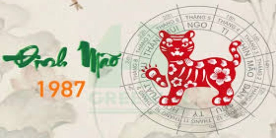 Xem chi tiết những lưu ý quan trọng dành cho gia chủ tuổi Đinh Mão khi xây nhà