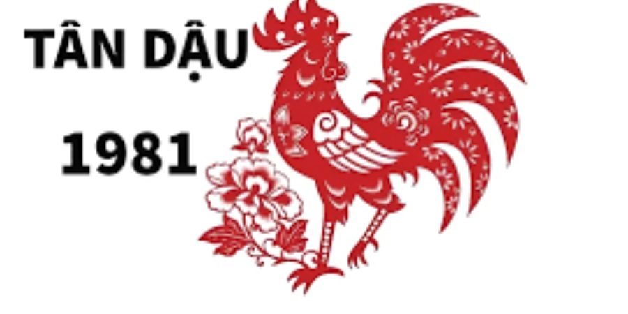 Hướng dẫn tử vi tổng quan tuổi Tân Dậu 1981 trong năm 2026