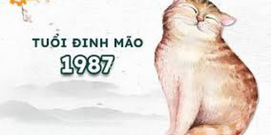 Xem chi tiết tuổi Đinh Mão 1987 xây nhà năm 2026 có tốt không?