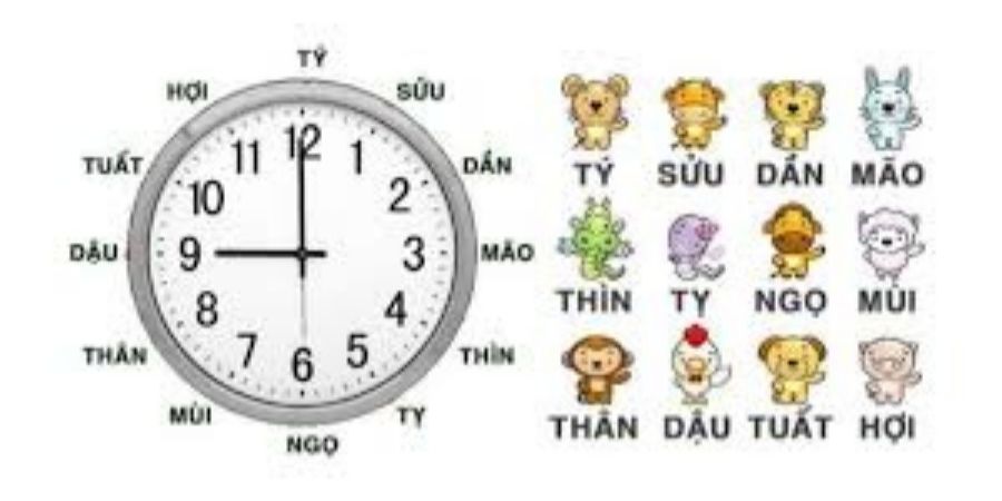 Hướng dẫn xem phỏng thủy và lựa chọn ngày giờ phù hợp