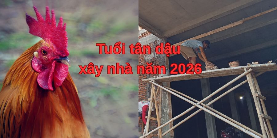 Hướng dẫn tuổi tân dậu xây nhà năm 2026 hợp phong thủy