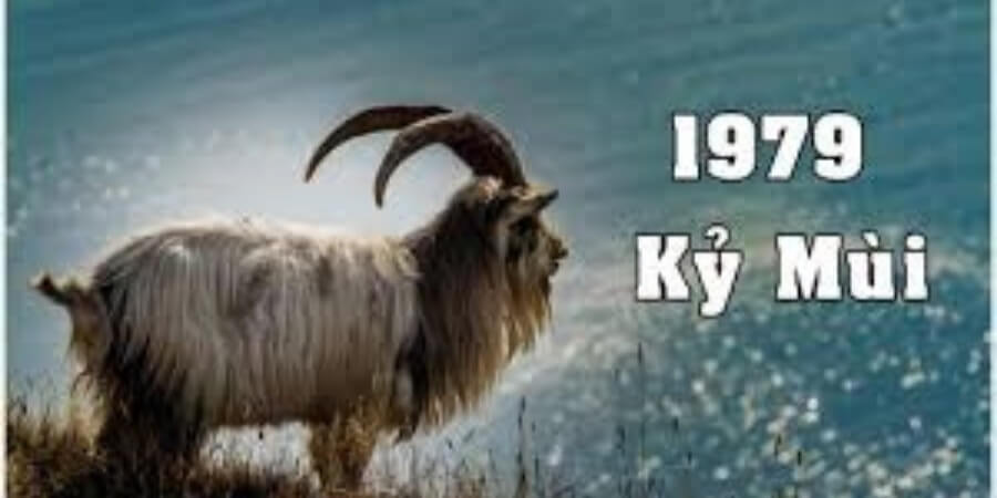 Xem thêm hướng nhà không hợp với tuổi Kỷ Mùi 1979