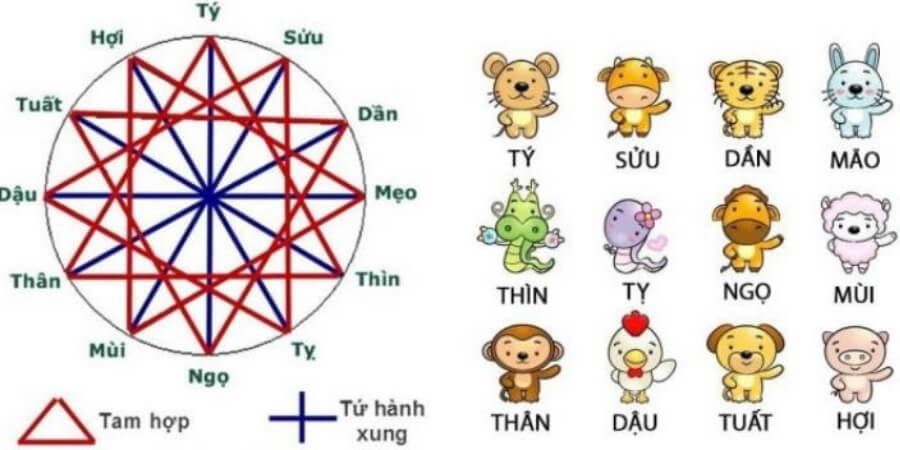 Xem chi tiết năm tuổi là năm gì