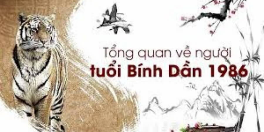 Xem thêm hông tin tổng quan tuổi Bính Dần 1986