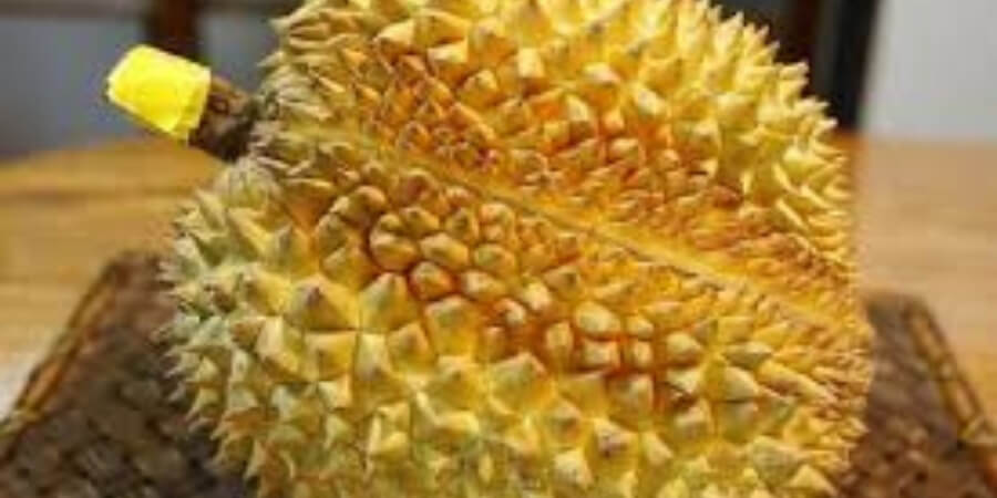 Xem thêm chi tiết tránh các loại quả có gai nhọn