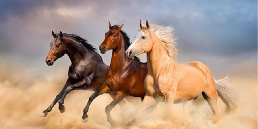 Xem thêm chi tiết tuổi Canh Ngọ 1990 xây nhà năm 2027 có phạm Tam Tai không