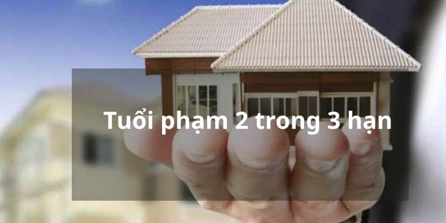 Xem thêm tuổi phạm 2 trong 3 hạn