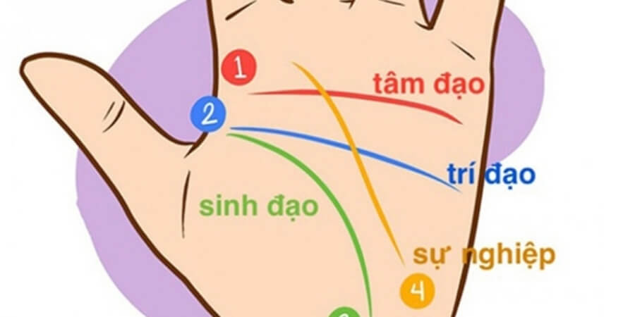 Xem thêm Vận Mệnh Là Gì